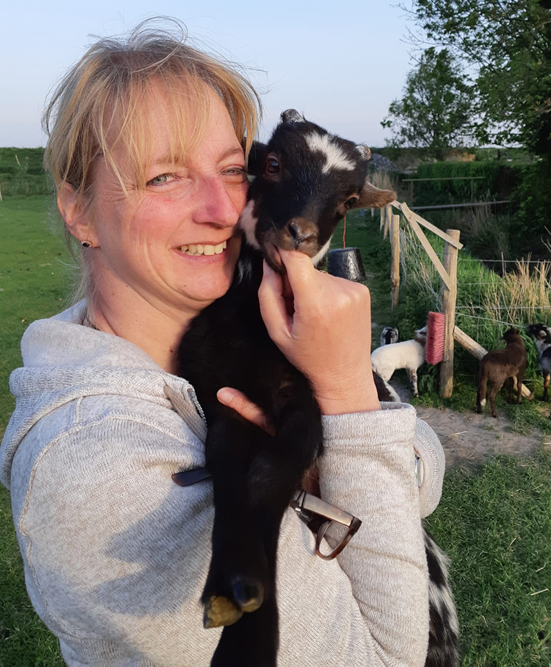 Lammetjes-voorjaar-drentsheideschaap-vachtvilten-lammetjesdag-agenda-workshops-viltkunst-wol-schaap-woolart-naaldvilten-natvilten-vilten-scheren