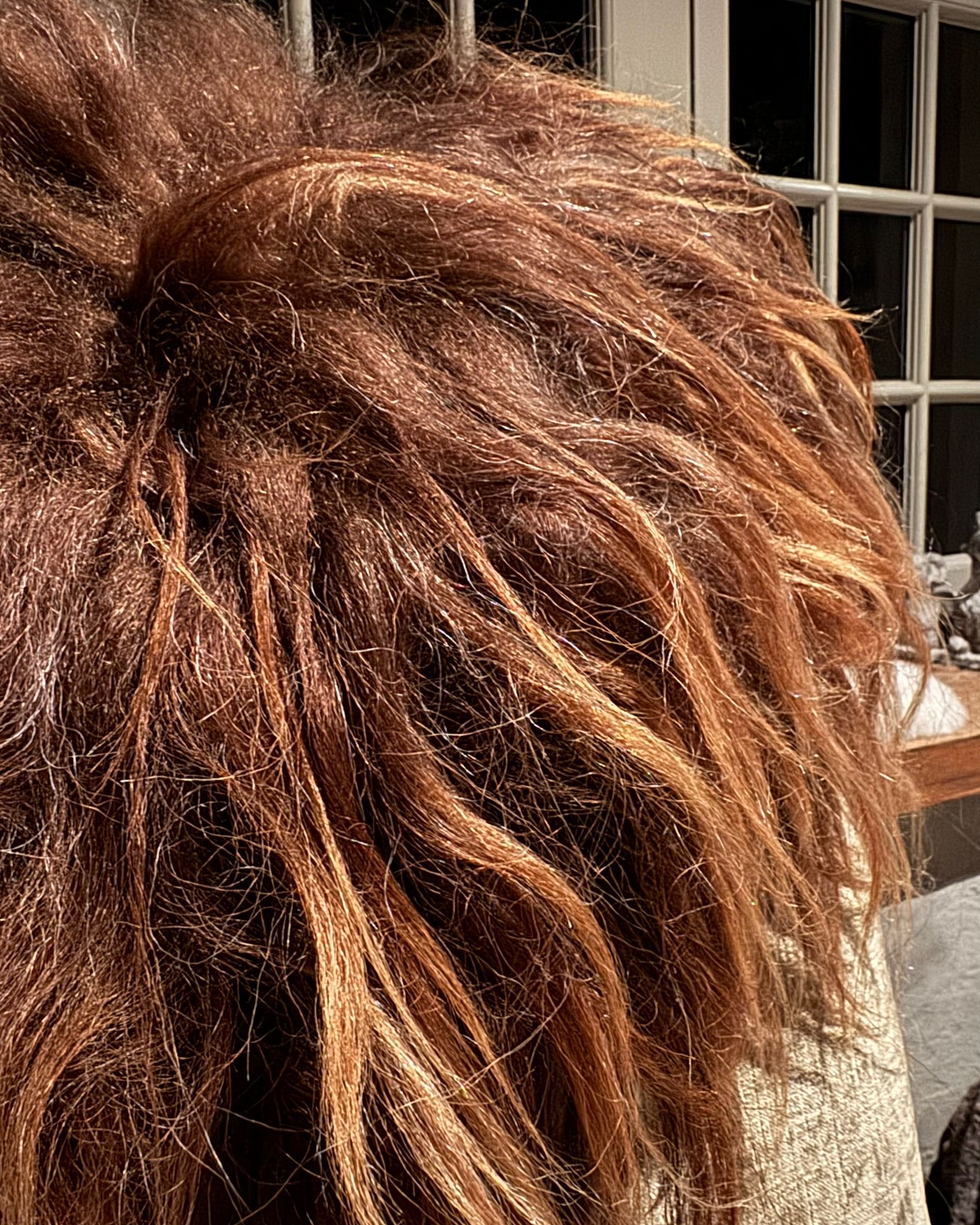 Mooie Ginger Spaelsau: wat een glans!!! - Afbeelding 2