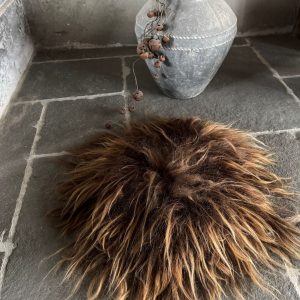 Mooie Ginger Spaelsau: wat een glans!!!