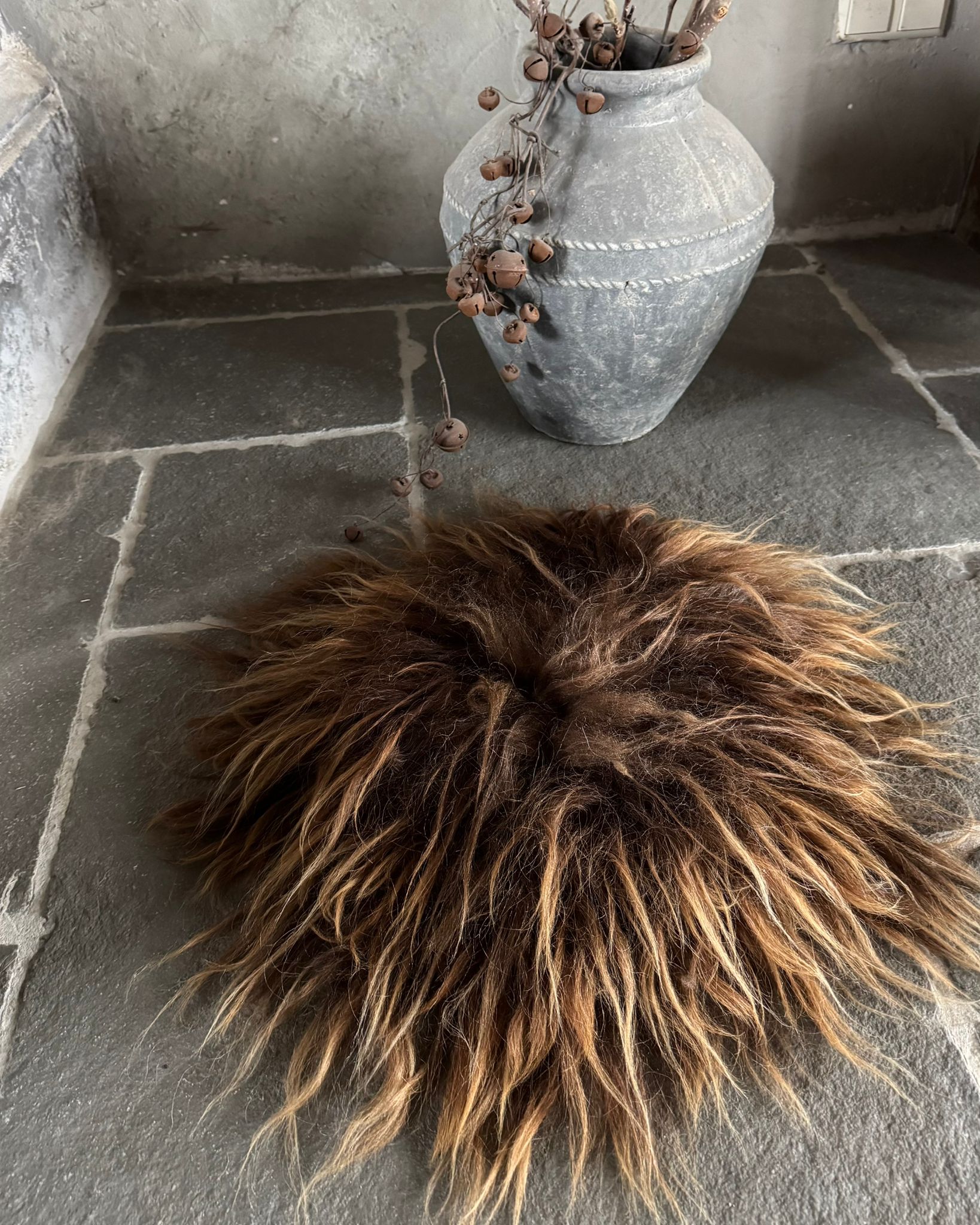 Mooie Ginger Spaelsau: wat een glans!!!