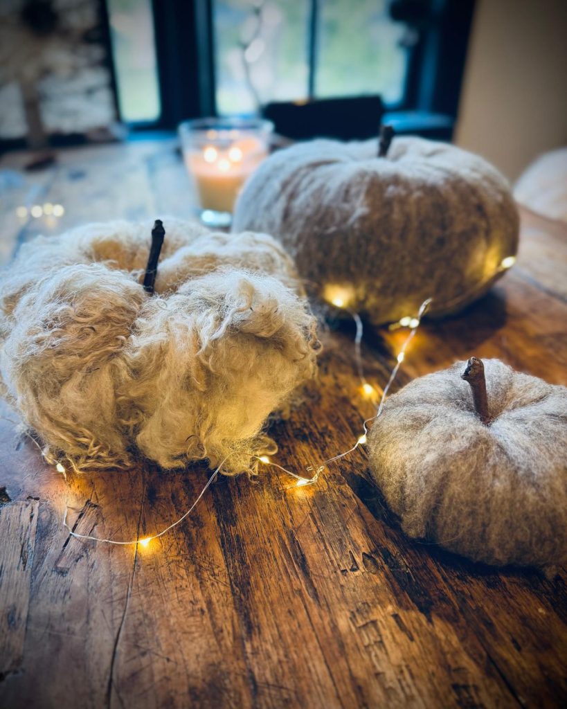 Pompoenen-set-drie-pompoenen-binden-creatief-workshop-najaar-herfst-pumpkin-halloween