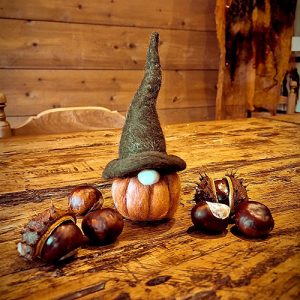 DIY pakket - Pompoen gnome