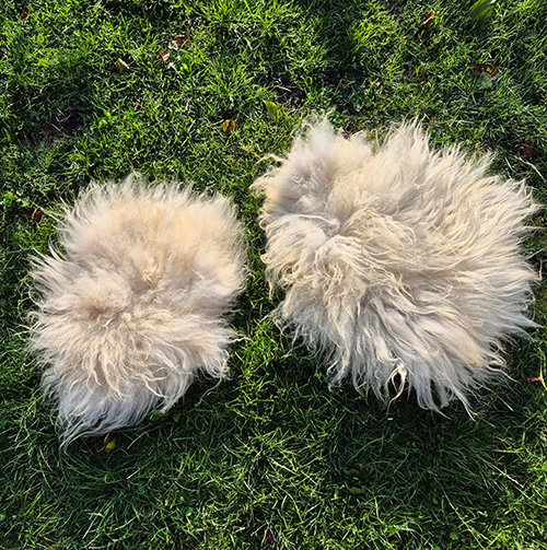 Lichtkleurig Kattenkleedjes - Afbeelding 4