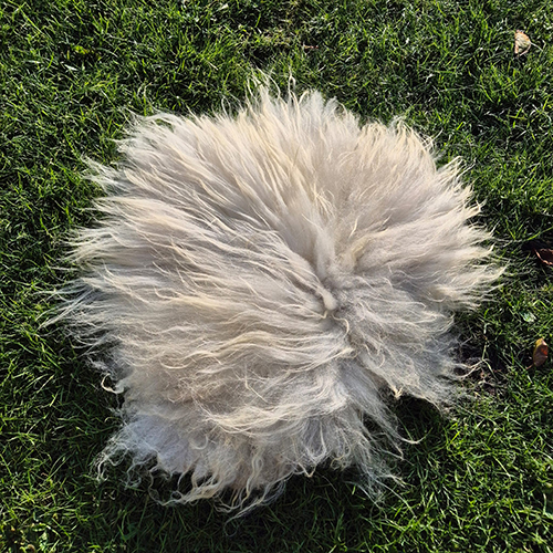 Lichtkleurig Kattenkleedjes - Afbeelding 3