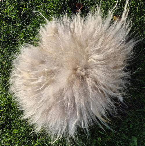 Lichtkleurig Kattenkleedjes - Afbeelding 2