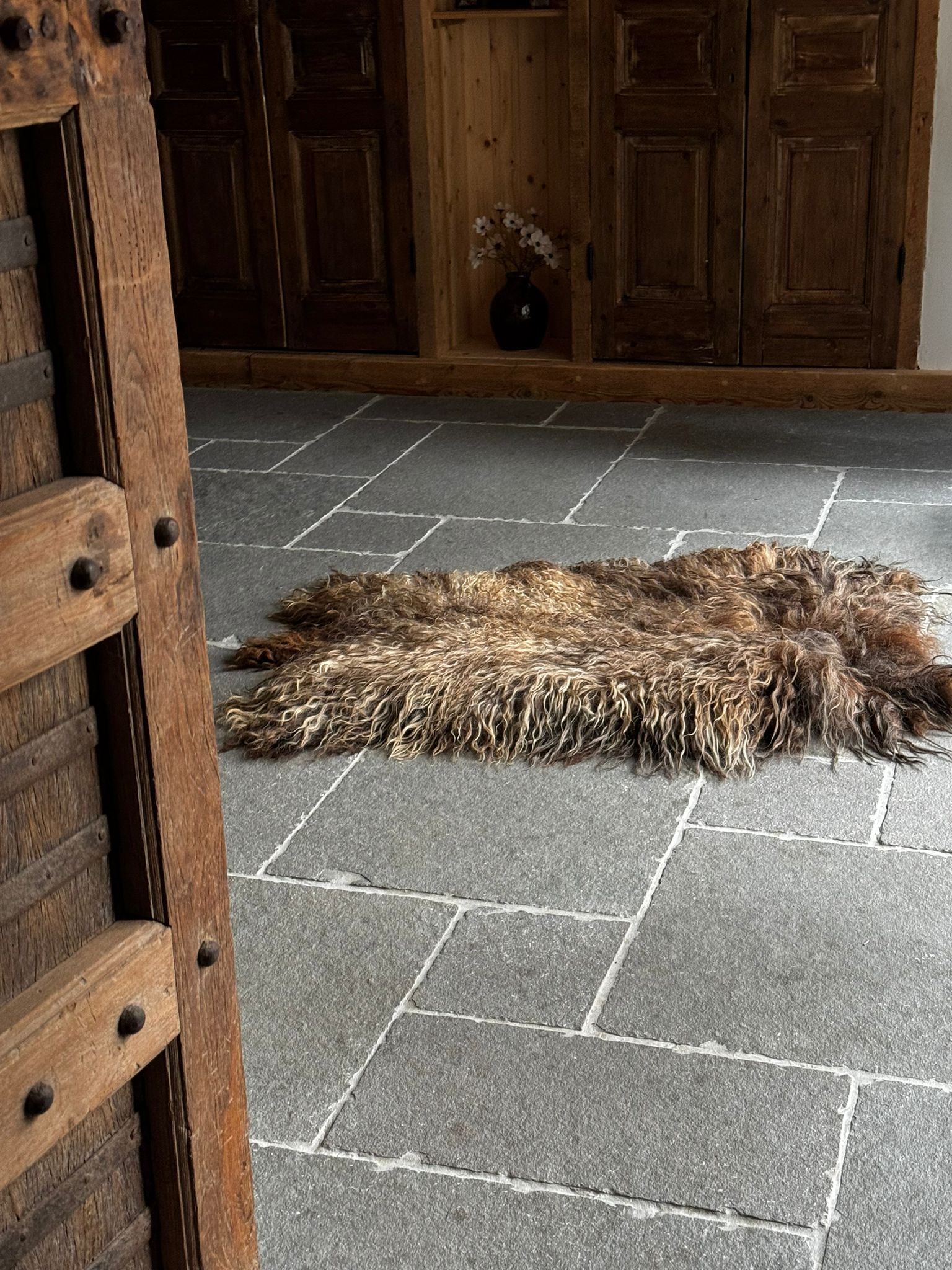 Warme kleuren: Bruinrode met blonde Drent - Afbeelding 2