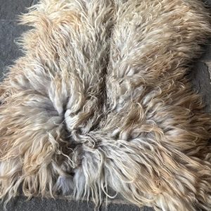 Drents Heideschaap Lamsvachtje Einstein